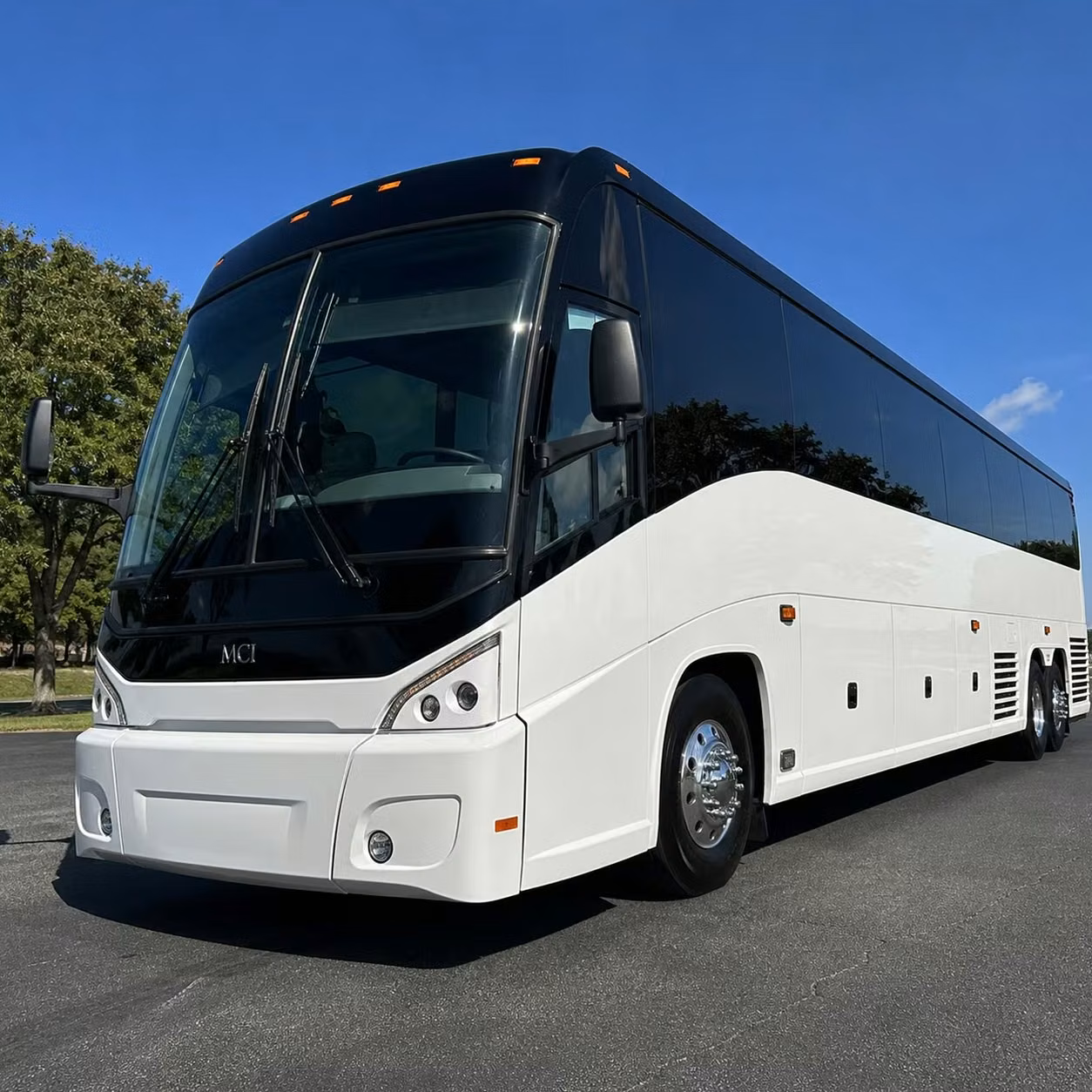 visalia charter buses for sequoia national park and kings canyon field trips